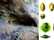 Un nou studiu arată că oamenii luau medicamente chiar și cu 15.000 de ani în urmă oamenii luau medicamente