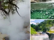 La peste 86°C, „râul care fierbe” din Amazon te poate găti de viu: misterul Shanay-timpishka râul care fierbe amazon