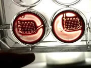 Oamenii de știință au transformat sângele în material care repară oasele material care repară oasele