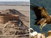 Turnurile tăcerii: oamenii care și-au oferit morții vulturilor vreme de peste 3.000 de ani Turnurile tăcerii