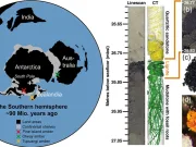 Primul chihlimbar descoperit în Antarctica arată că o pădure tropicală a existat în apropierea Polului Sud chihlimbar descoperit în Antarctica