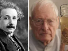 creierul lui Albert Einstein