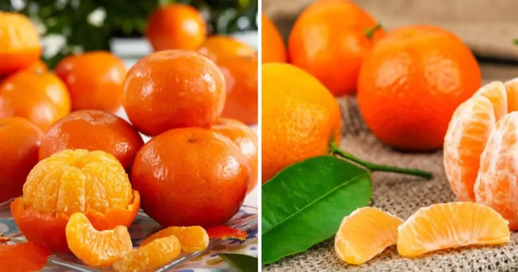 diferența dintre mandarine și clementine