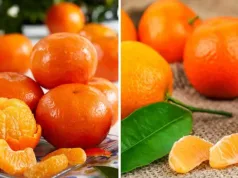 diferența dintre mandarine și clementine