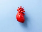 Transmit organele donatorilor o parte din memorie? Pacienții cu transplant de inimă raportează schimbări ciudate de personalitate Transmit organele donatorilor o parte din memorie?