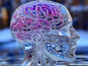 Un om de știință propune să ne înghețăm creierul pentru a ne prelungi viața înghețăm creierul