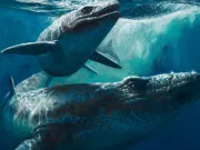 Avertismente lansate în legătură cu un monstru marin antic descoperit într-o mină marocană monstru marin