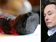 Elon Musk donează 3 milioane de dolari pentru descifrarea secretelor papirusurilor de la Herculaneum descifrarea secretelor papirusurilor de la Herculaneum