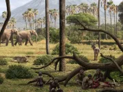 Descoperire arheologică majoră: cele mai vechi urme de locuire umană din Europa au fost identificate în România urme de locuire umană din Europa românia