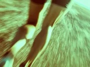 poate alerga un om fără oprire