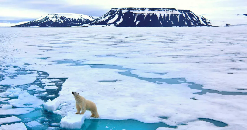 calotele glaciare