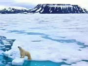 Cum au apărut calotele glaciare pe Pământ? calotele glaciare
