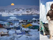 10 curiozități despre Groenlanda pe care trebuie să le cunoști groenlanda curiozități