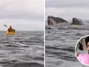 Bărbatul înghițit de o balenă a povestit cum s-a simțit în interiorul acesteia. Cum a reușit să scape din interiorul balenei Bărbatul înghițit de o balenă