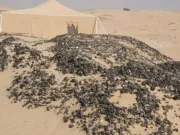 Cercetătorii au descoperit o civilizație veche de 5000 de ani sub nisipurile unui deșert uriaș sub cel mai mare deșert din lume civilizație veche de 5000 de ani