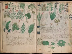 Manuscrisul Voynich