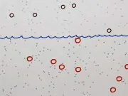 Ce este Mișcarea Browniană și cum influențează lumea în care trăim? Mișcarea Browniană