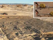 Dovezi vechi de 20.000 de ani ale unor „vehicule antice”, descoperite de arheologi în America de Nord vehicule antice