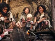 Cine a inventat hainele și de când au început oamenii să le poarte? Cine a inventat hainele