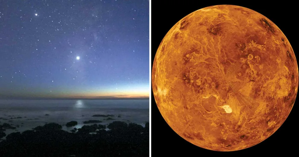 venus curiozitati