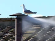 habemus papam a fost ales un nou papă