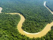 O așezare colonială pierdută a fost descoperită sub pădurea tropicală amazoniană O așezare colonială pierdută