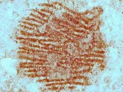 O amprentă umană veche de 43.000 de ani este cea mai veche din lume — și aparține unui neanderthalian amprentă umană veche