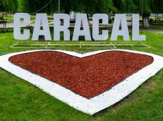caracal