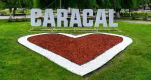 caracal