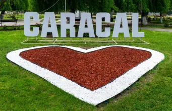caracal