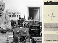 Inventatorul electrocardiografului willem einthoven