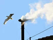 Cum se obțin fumul negru, fumul alb și al treilea fum secret în timpul Conclavului? fumul alb