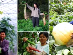 astronauţii chinezi cultivă