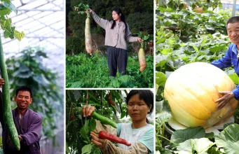 astronauţii chinezi cultivă