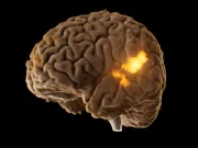 Creierele noastre emit o lumină secretă pe care oamenii de știință încearcă să o descifreze Creierele noastre emit o lumină secretă