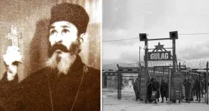 ion bura