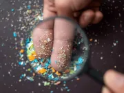 Microplasticele au un efect îngrijorător asupra microbilor din intestinul nostru intestin microplasticele