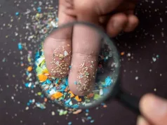 intestin microplasticele