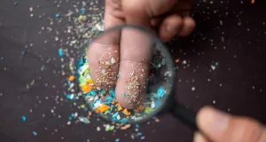 intestin microplasticele