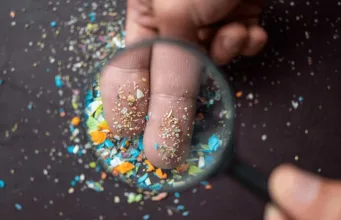 intestin microplasticele