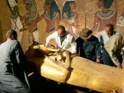 Secretul din spatele Blestemului Faraonului: o ciupercă ucigașă, transformată în armă anti-cancer Secretul din spatele Blestemului Faraonului: O ciupercă ucigașă, transformată în armă anti-cancer