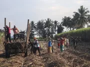 Un ucigaș tăcut se răspândește prin valurile de căldură. Milioane de oameni sunt în pericol și nu o știu ucigaș tăcut convulsii comă căldură