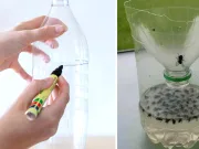 capcană de muște scapă imediat de muște