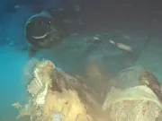 De ce au aruncat savanții o vacă la o adâncime de 1,629 de metri? Imediat, au apărut 8 vizitatori neașteptați vacă la o adâncime