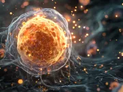 Nu este SF: prima celulă artificială cu „sistem de navigație” propriu a fost creată. Implicațiile pentru medicină sunt uriașe Nu este SF: prima celulă artificială cu „sistem de navigație” propriu a fost creată. Implicațiile pentru medicină sunt uriașe