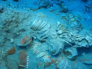 O poartă către trecut: arheologii au descoperit o epavă romană cu vasele încă stivuite ca pentru livrare epavă romană descoperită turcia