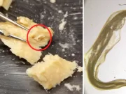 conservă de somon din 1979