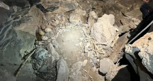 munților din Coahuila