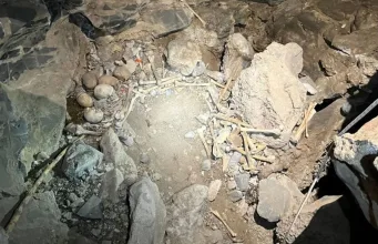 munților din Coahuila