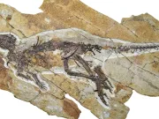 pulao dinozaurul care ciripea